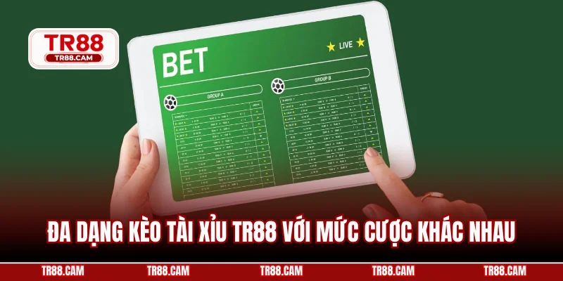 Đa dạng kèo tài xỉu TR88 với mức cược khác nhau